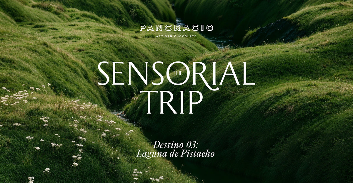 Sensorial Trip Destino 03: Laguna de Pistacho