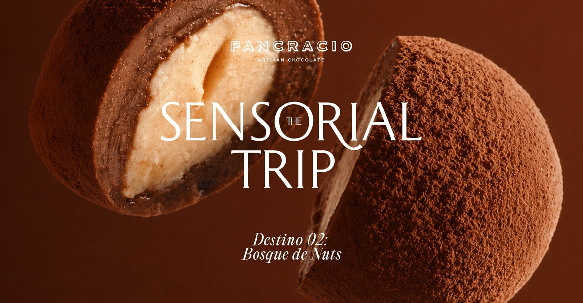Sensorial Trip Destino 02: Bosque de Nuts